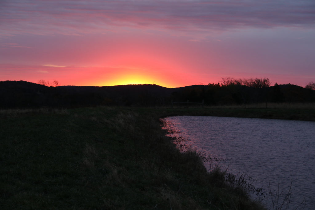 Sunrise November 12, 2021