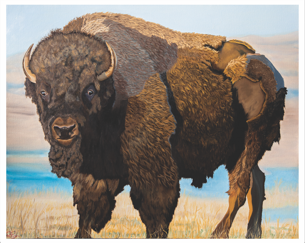 "Bison Warrior" 20 x 16 inch