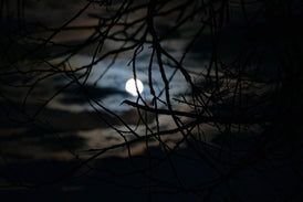 "Fall Moon" HD Print