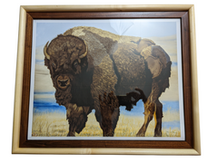 "Bison Warrior" HD Print