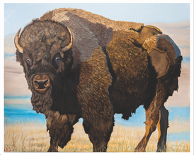 "Bison Warrior"  20 x 16 inch