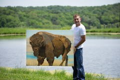 "Bison Warrior" HD Print