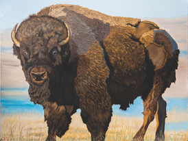 "Bison Warrior" Original Oil Painting 48" x 36" on stretched canvas